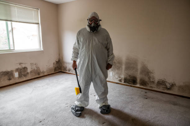 Best Certified Mold Removal  in Splendora, TX